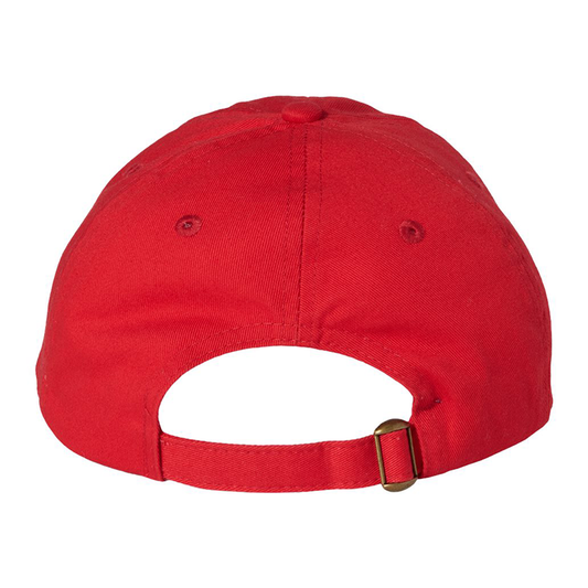 513 National Team dad hat