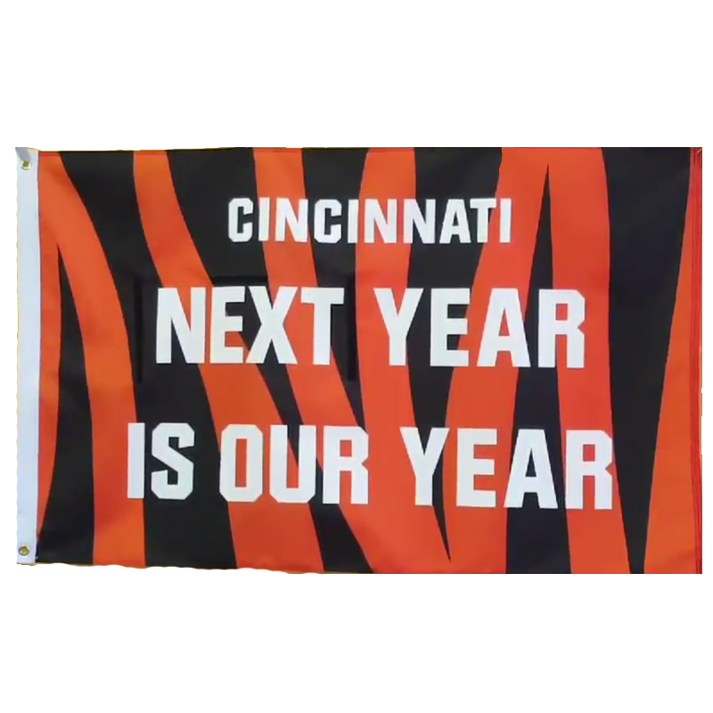 THIS/NEXT Year is Our Year flag - 513shirts.com / Cincinnati Shirts